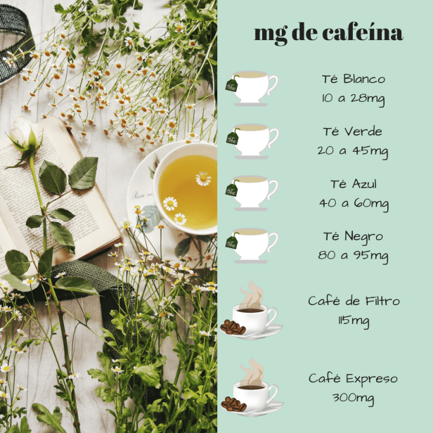 mg de cafeína - WordPress.png