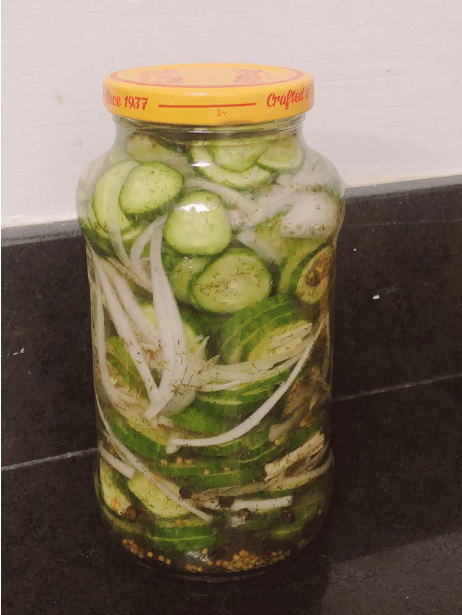 Pepinillos Caseros